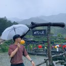 간지 옷 수선 이미지