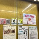 콜라이드커피로스터즈