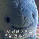씨스테이 이미지