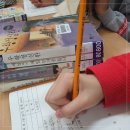 독수리브레인
