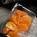 씨앤씨푸드 | 260211 일상 구월동 용우동 후기 &amp; 싸미랑 C&amp;C점 방문