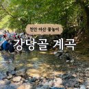 토담 | 천안 아산 강당골계곡 - 백숙 맛집 토담 아이와 물놀이