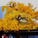 매표소 앞 화장실 이미지