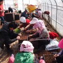 비나리마을 이미지