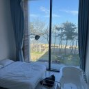 더 헤이븐 | 포항 오션뷰 숙소 더헤이븐리조트 인피니티풀 솔직후기