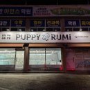 퍼피샬롱 | 포천시 애견미용 , 애견분양 , 애견용품점 퍼피루미 포스기 설치 후기- 오케이포스