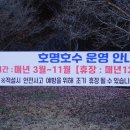 상천테마공원(주차장) 티스토리
