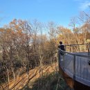 문화N중랑 | 서울시내 즐길 수 있는 중랑구 용마산스카이워크전망대: 봉화산, 남산N서울타워, 북한산, 도봉산까지...