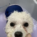 희동이의 하루 이미지