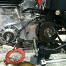 셀스타트 이미지