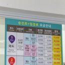 섬바위 가든 | 거제도 외도보타니아 아이랑 11월방문후기