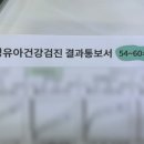 댕이의하루 이미지