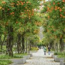 부천중앙공원 이미지