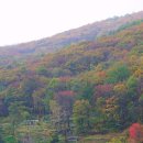 엘스관광호텔 이미지