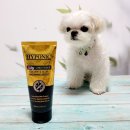 그루밍제주 | [하이포닉] 그루밍 아티스트 실키 컨디셔너