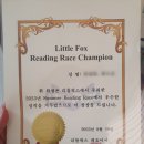 우해수학학원 | [2학년/7세] 리틀팍스 내돈내산 1년 사용 후기 / 활용방법