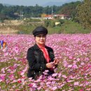 청암마을회관 이미지