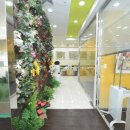 서울티플란트치과의원 이미지