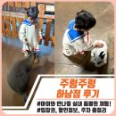 하남 | 하남 주렁주렁 후기｜겨울 아이랑 실내 동물체험｜입장권 할인 정보