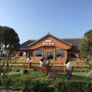 대정읍-7 이미지