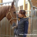 안산승마클럽 이미지