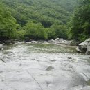 적상면019 Daum카페