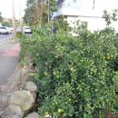 상예동-2 이미지