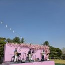 힐 스프링 | 그랜드 워커힐 호텔 포레스트 파크[온통,벚꽃 스프링 와인페어] 행사 참석 후기