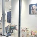 갤러리문화아지트 | [합정 갤러리몸 외부 전시 대관 후기] 3일간의 특별한...단기 대관 장소 추천 / 메세나폴리스 복합문화공간