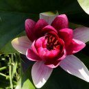 신구대학교 이미지