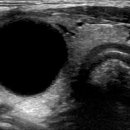 삼성숨소리이비인후과의원 이미지