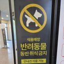 세븐일레븐 강릉단오공원점 | 덕평휴게소 인천방향 쇼핑몰인듯 볼거리 많은 휴게소 애견놀이터까지