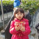 기우농장 이미지