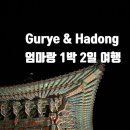 구례·하동 1박2일 여행 코스｜화개장터, 화엄사 야간개장, 사성암까지
