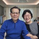 알프스안경점