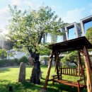 블루힐펜션 이미지