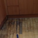 연제구-119 이미지