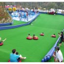 장흥 자연휴양림 이미지