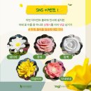 다다플라워 이미지