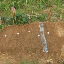 일진농장2 이미지