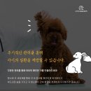 광명 24 아이디동물의료센터 이미지