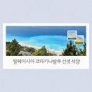 말레이시아 코타키나발루 선셋 석양 보고온 후기 (탄중아루, 반딧불투어)