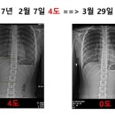 ﻿DMC재활운동학회 근골격계 질환 일반인대상 무료교육 공지합니다 이미지