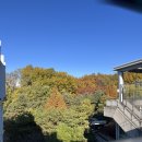 [대화] 21곳 대화도서관 주변 음식점 모음