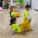 명성 바른자세 태권도 이미지