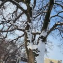 만경우체국 이미지