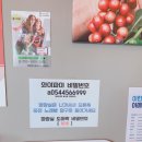 봉곡동172 이미지