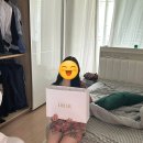 카로 | 프로포즈백 추천 디올 소프트 카로백 스몰 후기