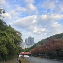 새이골공원 화장실 | 부산 이기대 공원 해안산책로 오륙도 스카이워크 트래킹코스