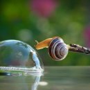 달팽이의하루 이미지